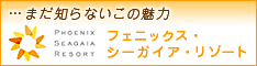 �t�F�j�b�N�X�E�V�[�K�C�A�E���]�[�g�֍s�����I