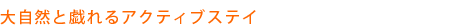�厩�R�ƋY���A�N�e�B�u�X�e�C