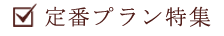 定番プラン特集