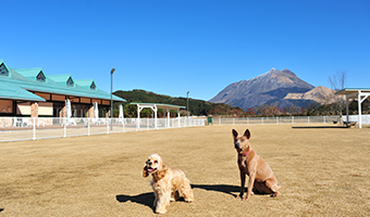 写真：「湯布院ガーデンホテル ドッグラン＆リゾート」イメージ