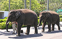 動物園